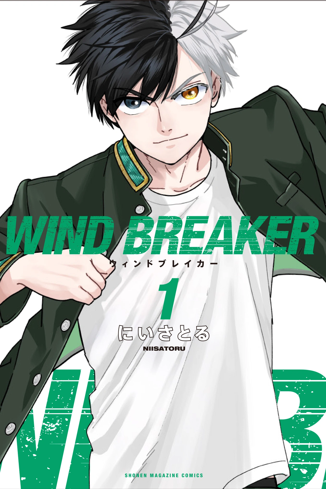 Wind Breaker Manhwa COVER